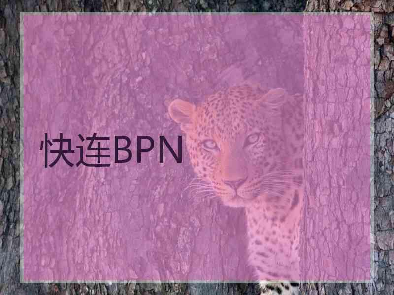 快连BPN