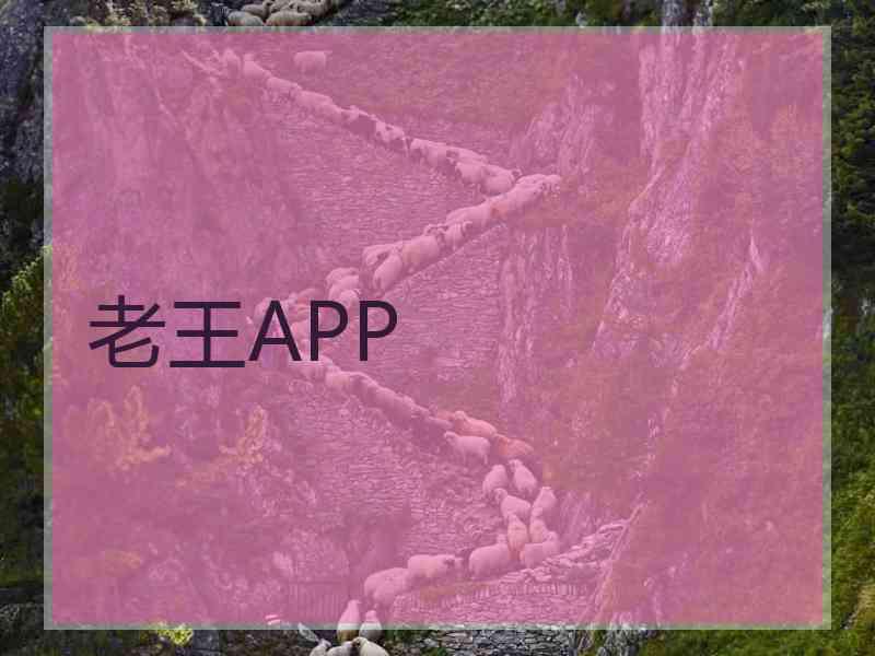 老王APP