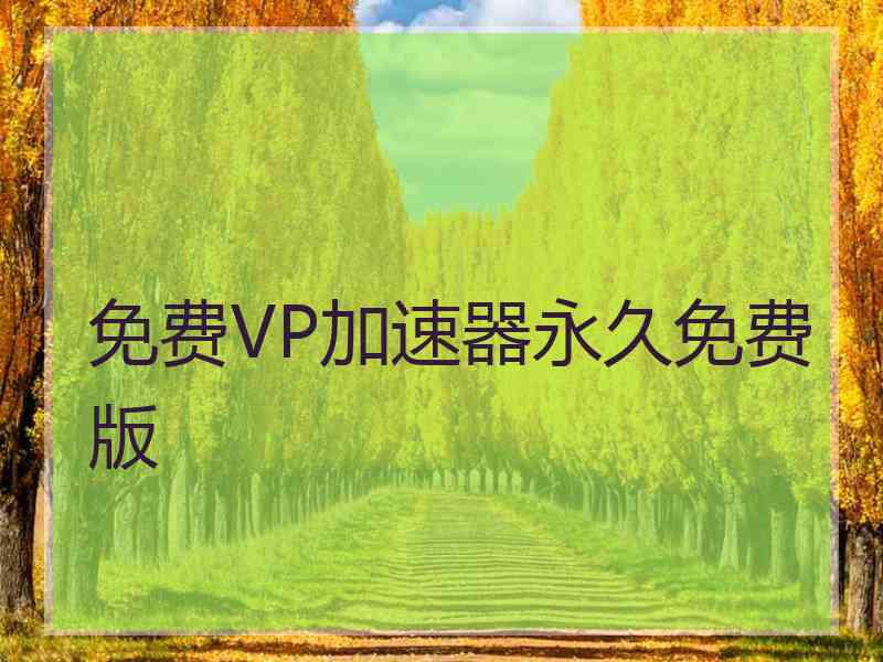 免费VP加速器永久免费版