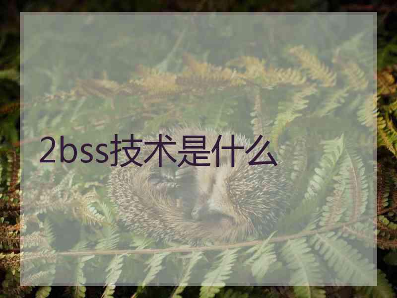 2bss技术是什么