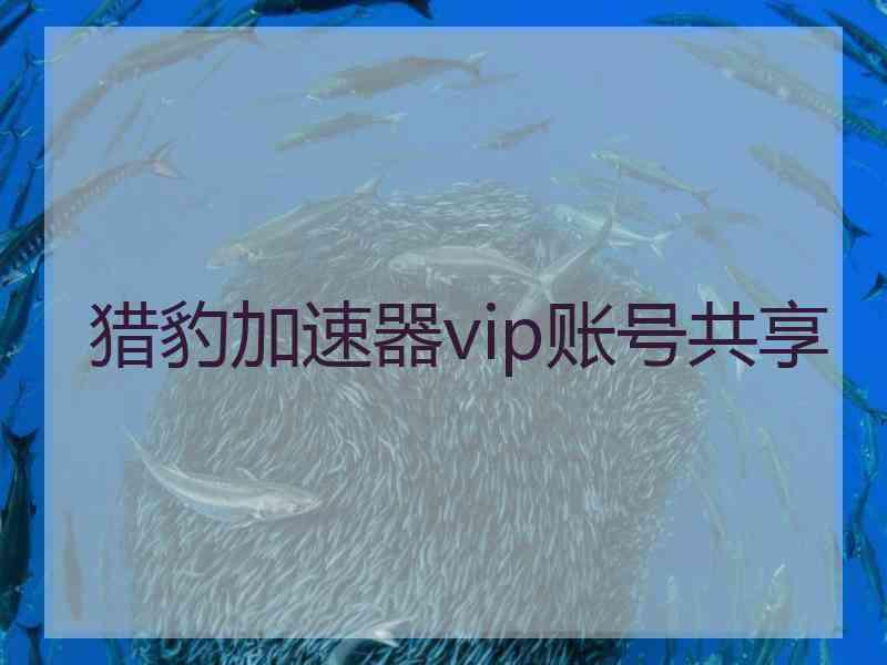 猎豹加速器vip账号共享