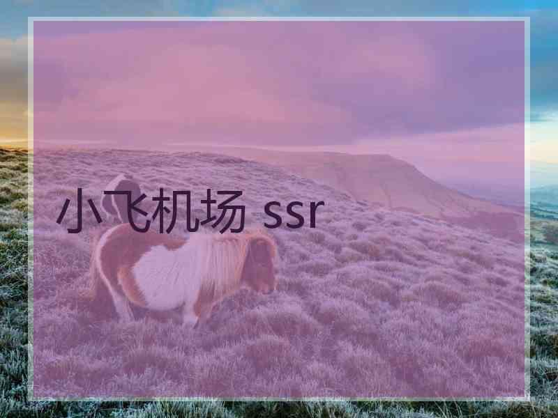 小飞机场 ssr