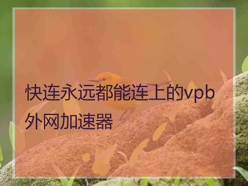 快连永远都能连上的vpb外网加速器