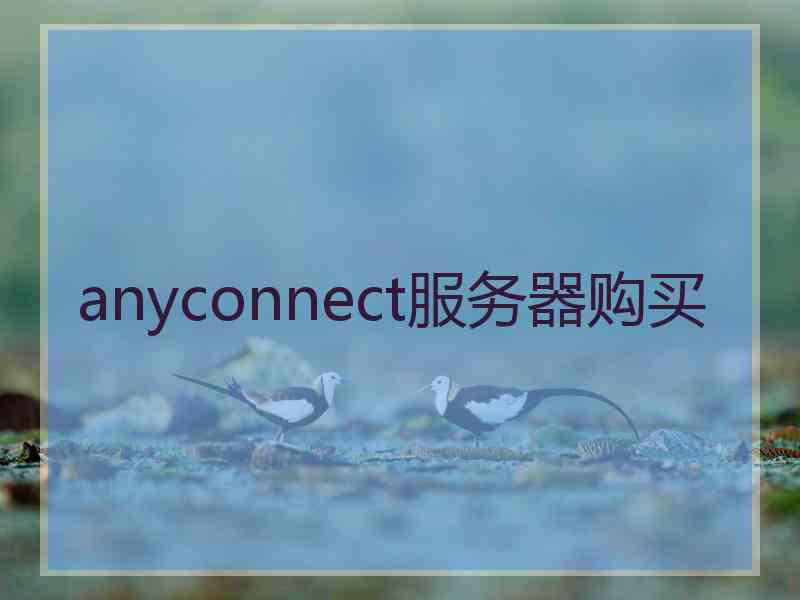 anyconnect服务器购买