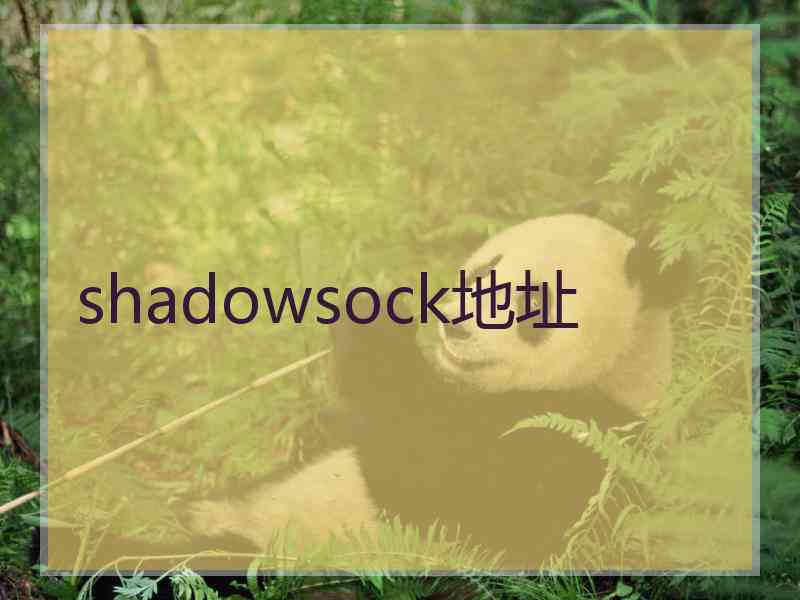 shadowsock地址