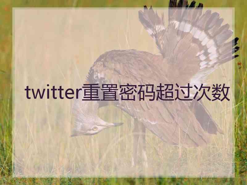 twitter重置密码超过次数