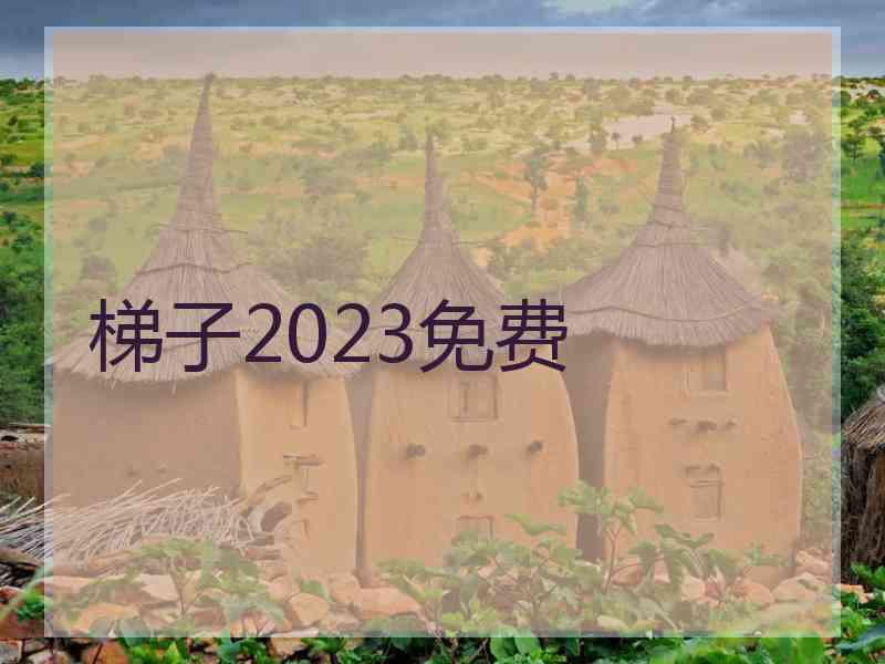 梯子2023免费