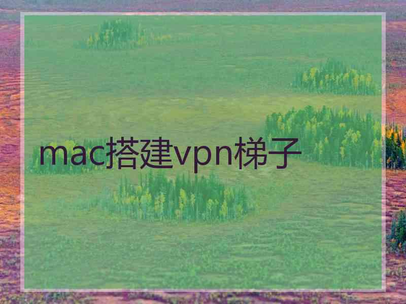 mac搭建vpn梯子