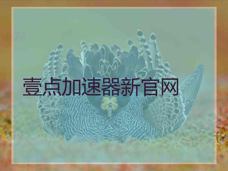 壹点加速器新官网