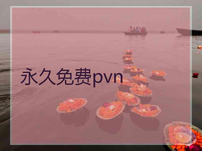 永久免费pvn