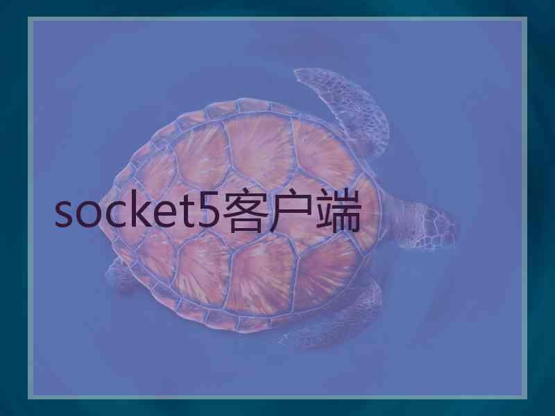 socket5客户端