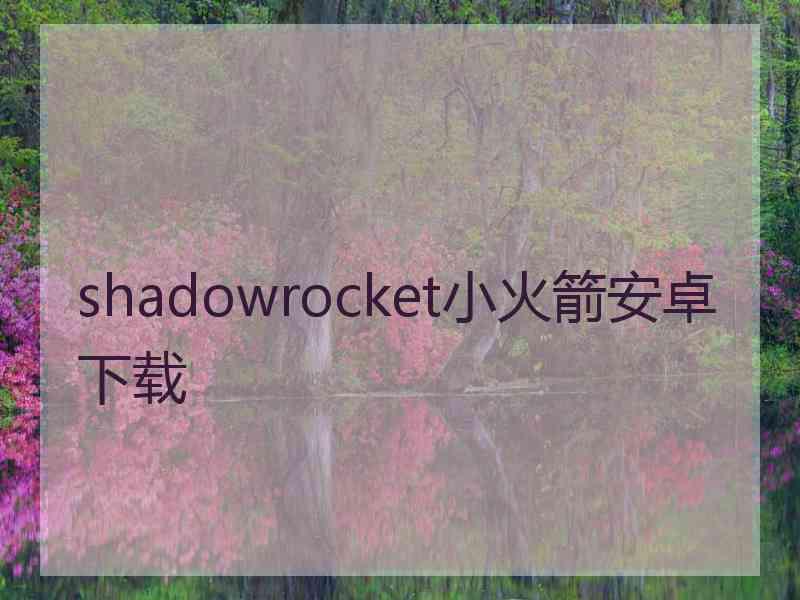 shadowrocket小火箭安卓下载