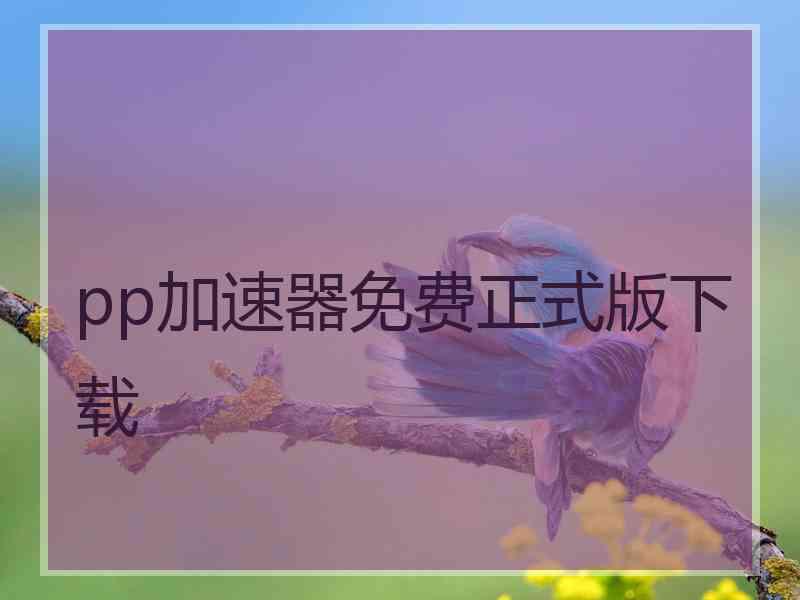 pp加速器免费正式版下载