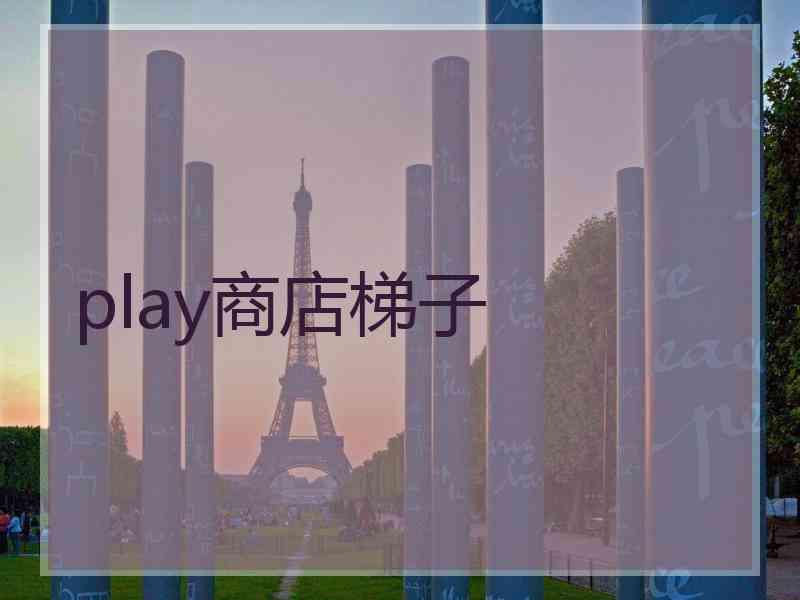 play商店梯子