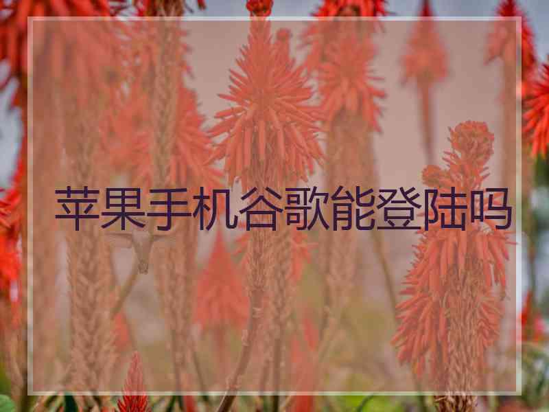 苹果手机谷歌能登陆吗