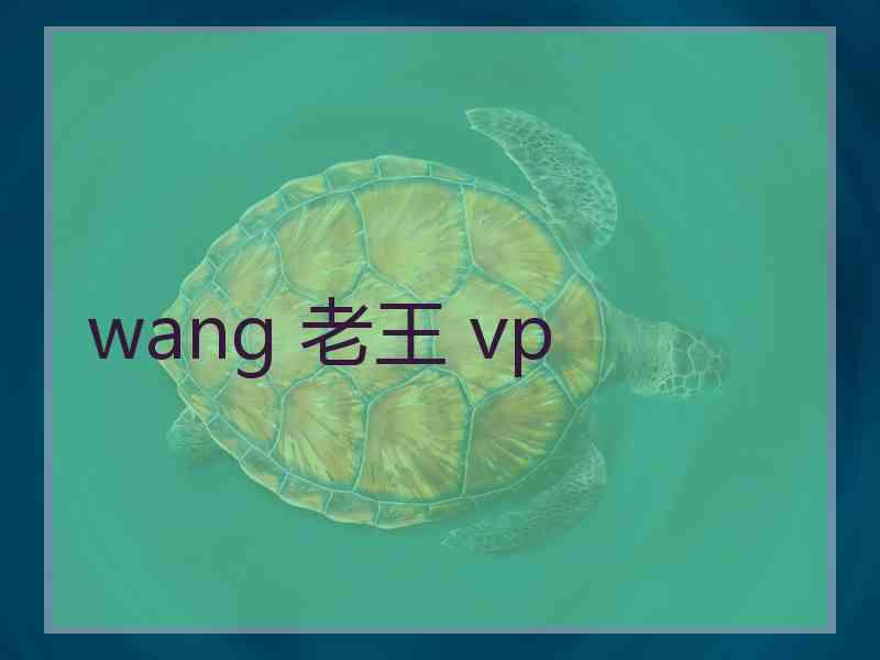 wang 老王 vp