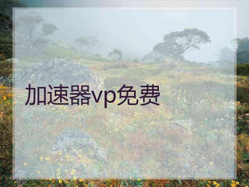 加速器vp免费