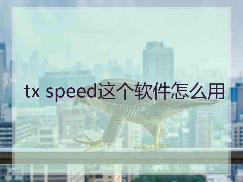 tx speed这个软件怎么用