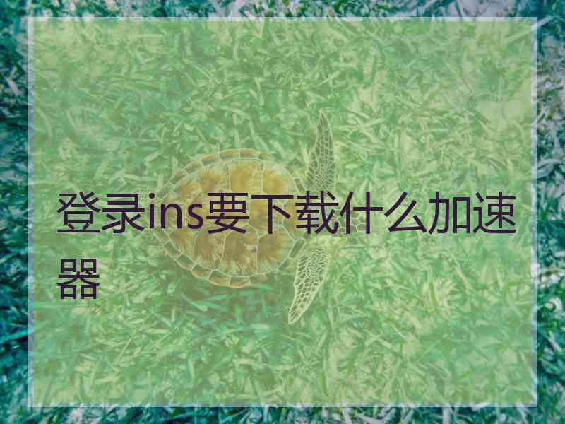 登录ins要下载什么加速器