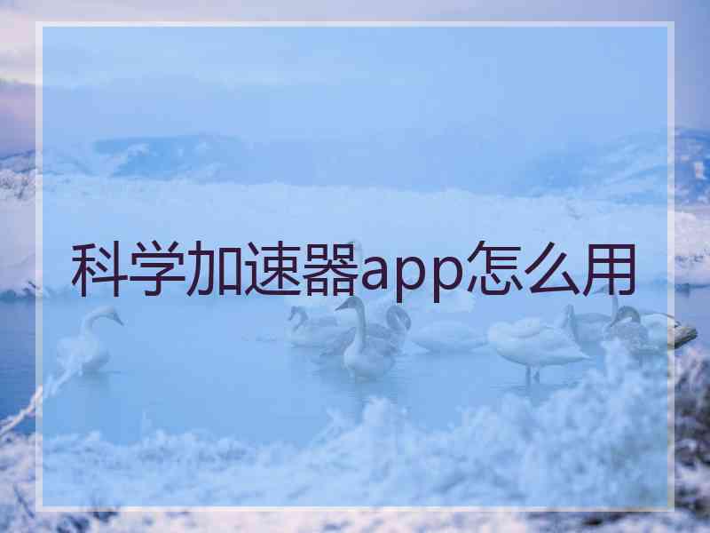 科学加速器app怎么用