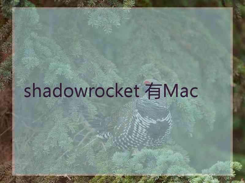 shadowrocket 有Mac