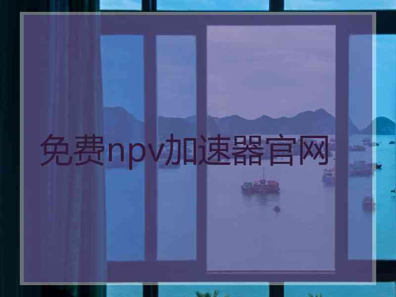 免费npv加速器官网