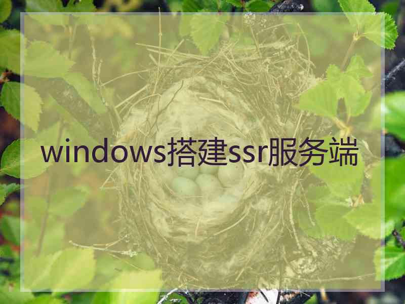 windows搭建ssr服务端