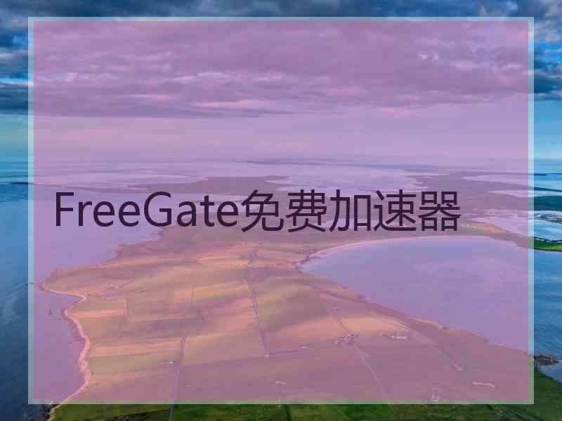 FreeGate免费加速器