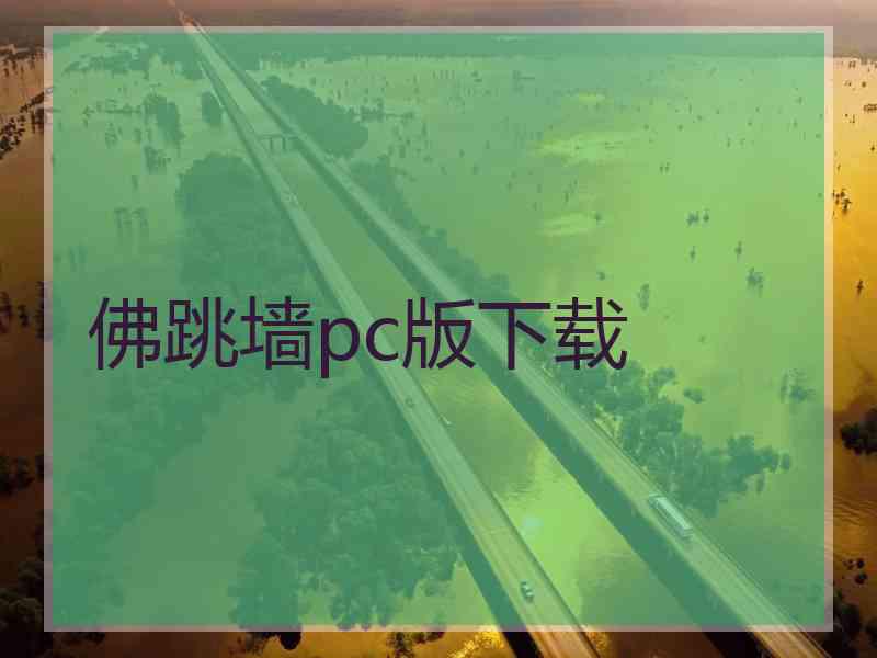 佛跳墙pc版下载