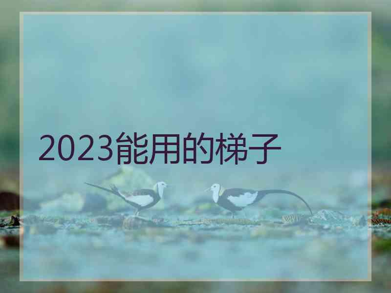 2023能用的梯子