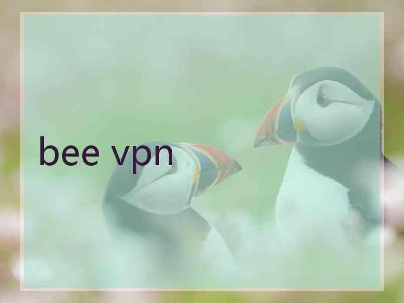 bee vpn